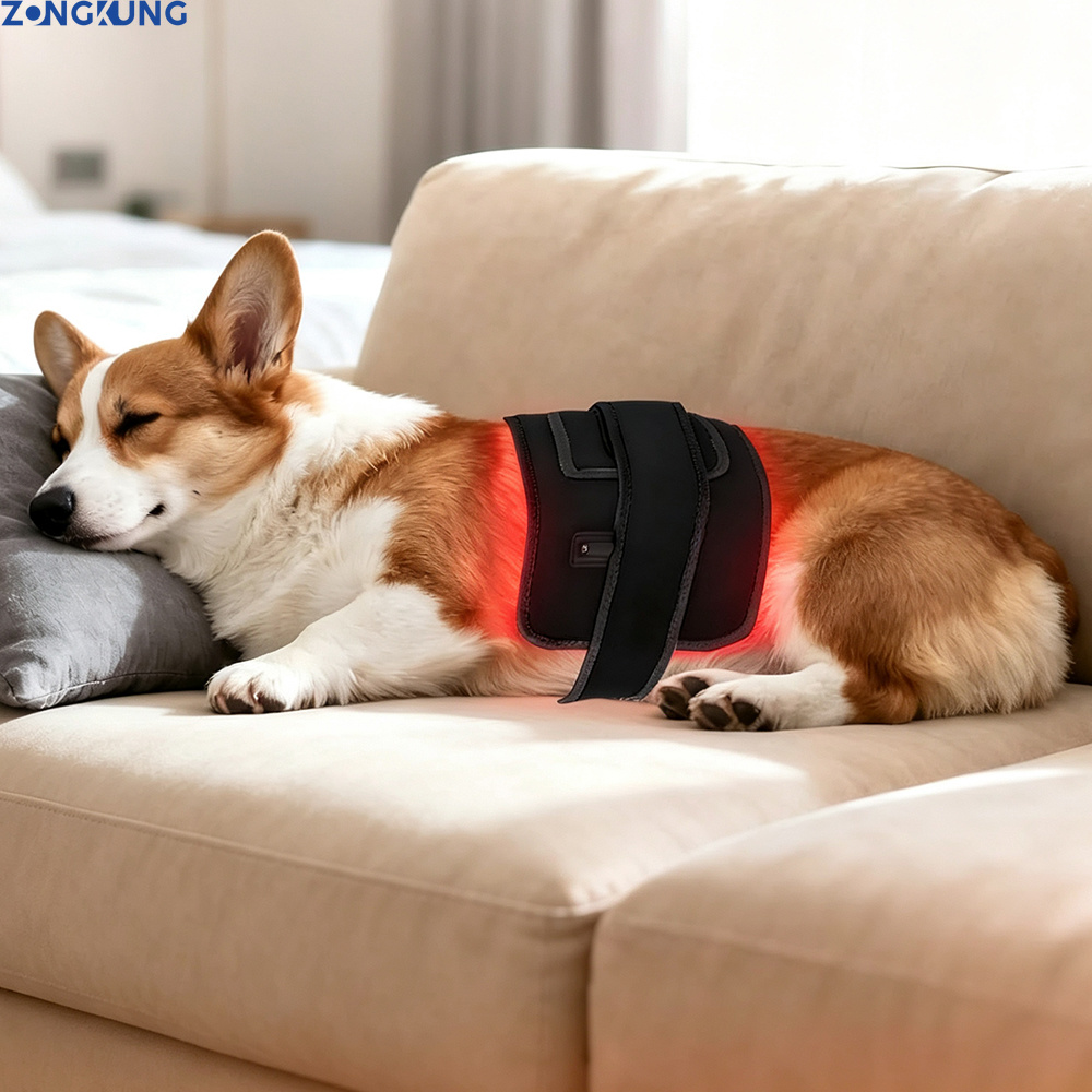 Galvanic Skin Sensor - Terapia com Luz Vermelha para Animais